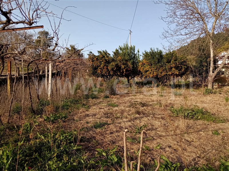Moradia T6 Ponte de Lima, Sá - 1228199 - 17