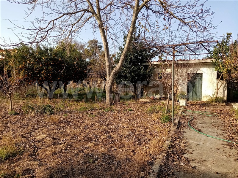 Moradia T6 Ponte de Lima, Sá - 1228199 - 19