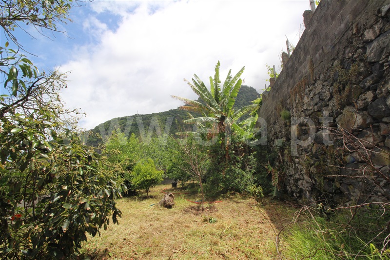 Moradia T6 São Vicente, Ponta Delgada - 1329057 - 22