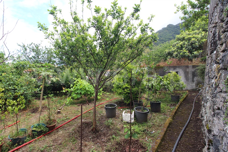 Moradia T6 São Vicente, Ponta Delgada - 1329057 - 27