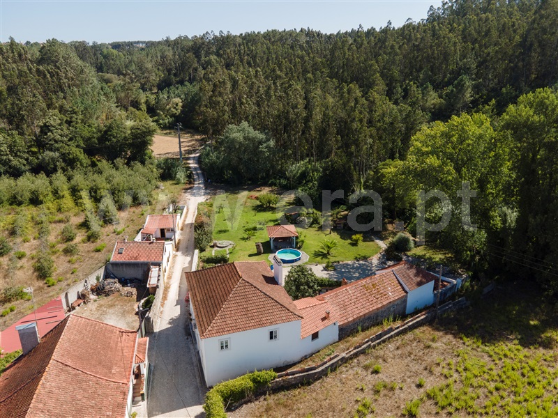 Quinta T7 com Grande Alcobaça, Coz, Alpedriz e Montes - 1342694 - 1