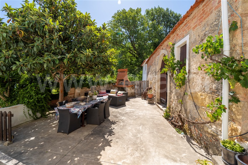 Quinta T7 com Grande Alcobaça, Coz, Alpedriz e Montes - 1342694 - 8