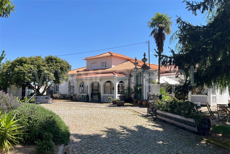 Moradia T7 / Lamego, Lamego (Almacave e Sé)