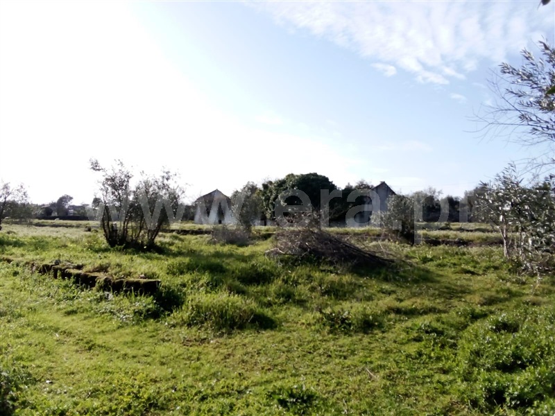 Moradia T7 Nelas, Senhorim - 1306341 - 6
