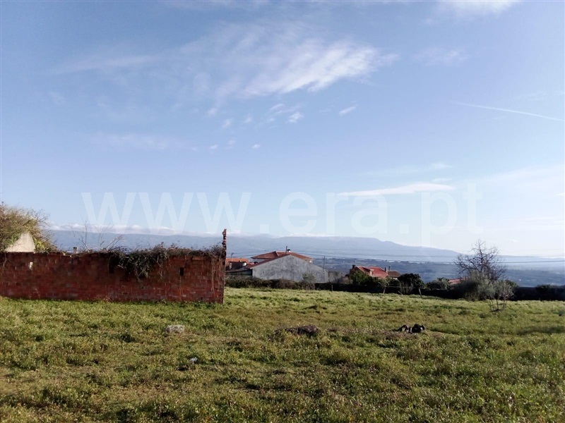 Moradia T7 Nelas, Senhorim - 1306341 - 7