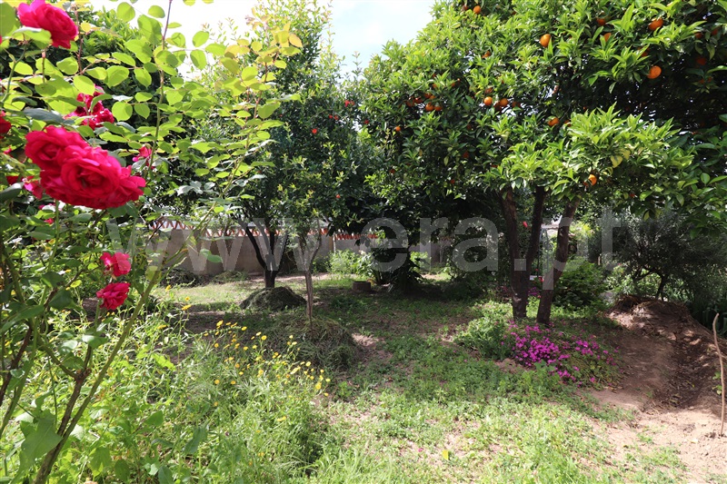 Moradia T6+ à venda em São Luís, Odemira — foto 16
