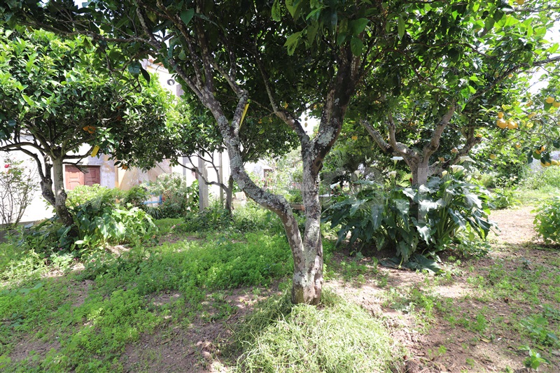 Moradia T6+ à venda em São Luís, Odemira — foto 15