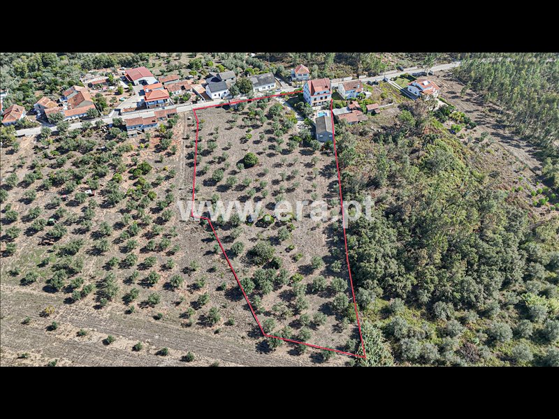 Moradia T6+ à venda em Gondemaria e Olival, Ourém — foto 8