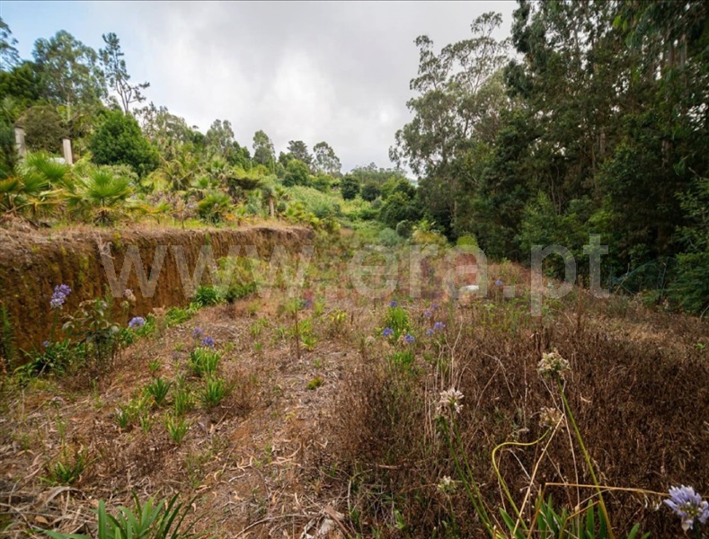 Moradia T7 Santana, São Jorge - 1354205 - 6