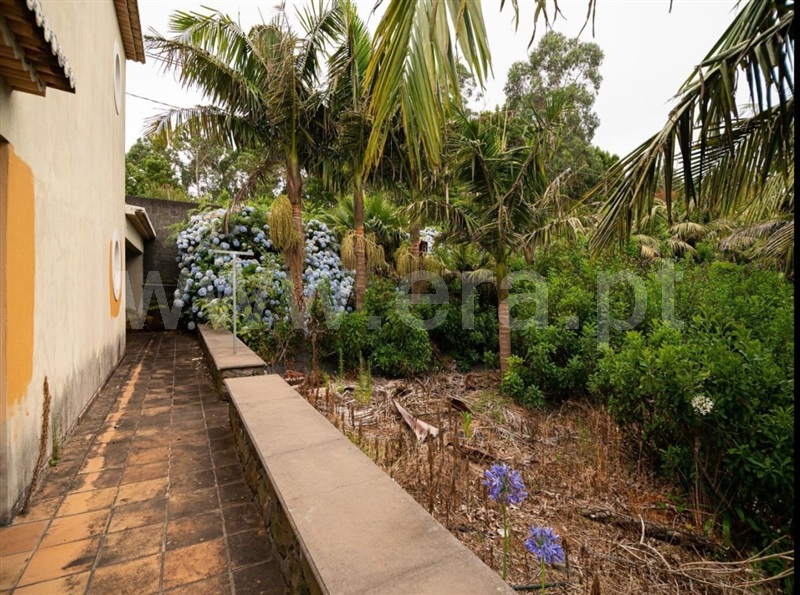 Moradia T7 Santana, São Jorge - 1354205 - 9