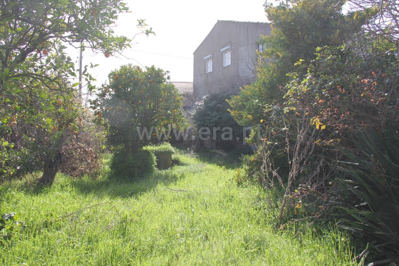 Moradia T6+ à venda em Mata, Castelo Branco — foto 5
