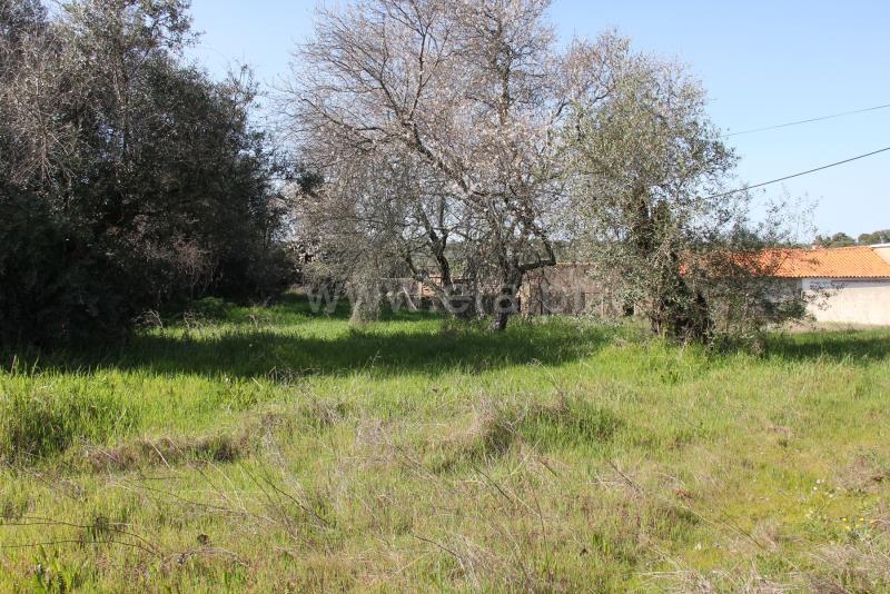 Moradia T6+ à venda em Mata, Castelo Branco — foto 6