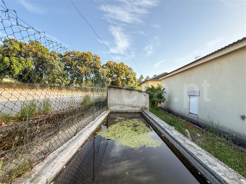 Moradia T6+ à venda em Ratoeira, Celorico da Beira — foto 20