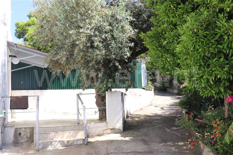 Quinta T8 / Mação, Ortiga