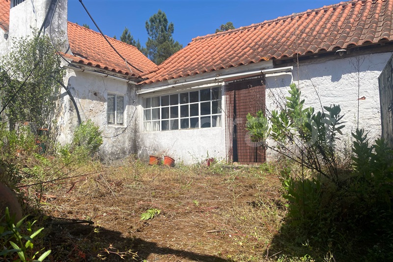 Moradia Rústica T8 com Terreno Tomar, Alverca - 1484000 - 13