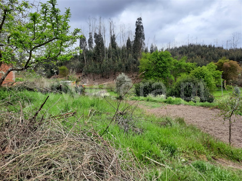 Moradia  Tondela, Dardavaz - 1247600 - 5