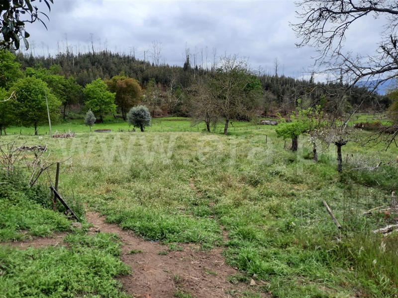 Moradia  Tondela, Dardavaz - 1247600 - 6