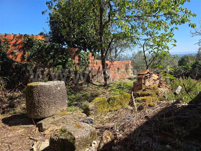 Moradia / Tondela, Santiago de Besteiros
