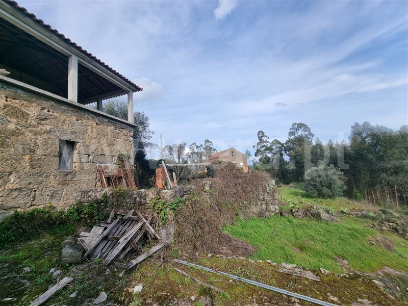 Moradia  Tondela, Tonda - 1468527 - 16