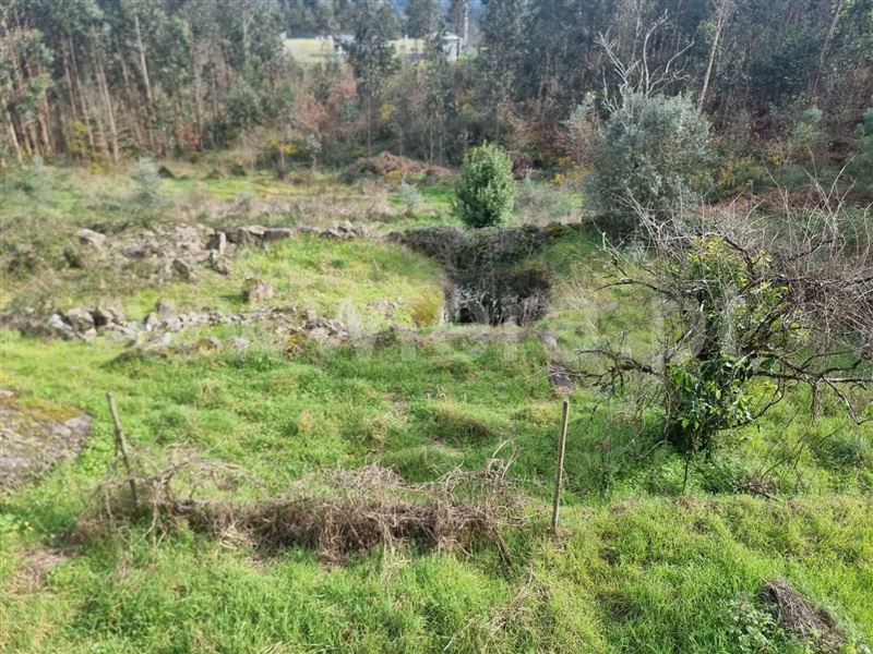 Moradia  Tondela, Tonda - 1468527 - 17