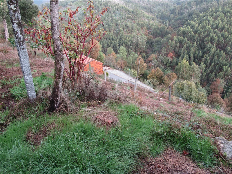 Moradia  Vale de Cambra, Roge - 1067777 - 7