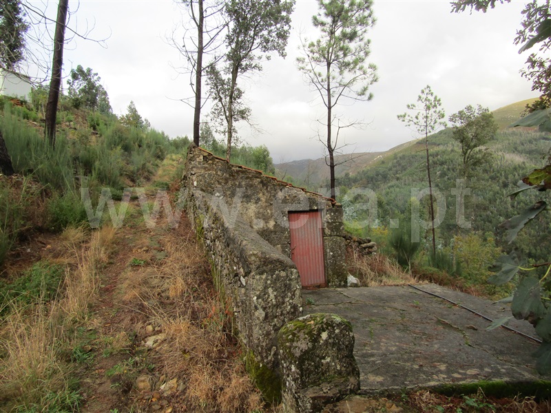 Moradia  Vale de Cambra, Roge - 1067777 - 5