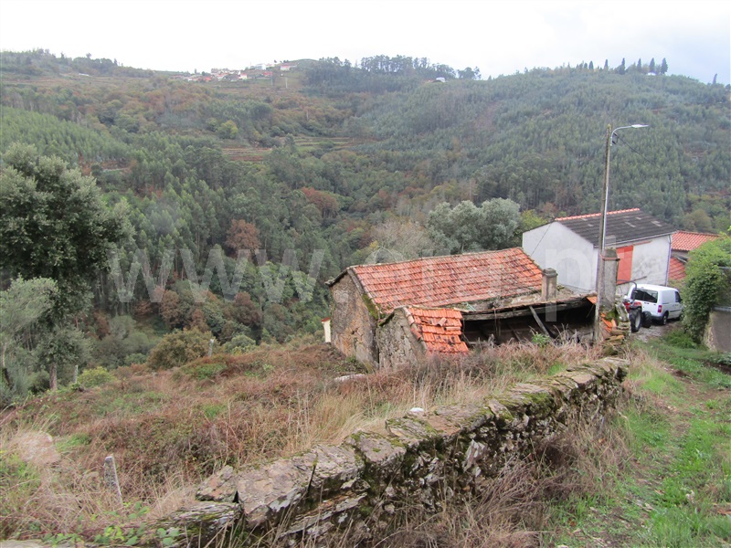 Moradia  Vale de Cambra, Roge - 1067777 - 6