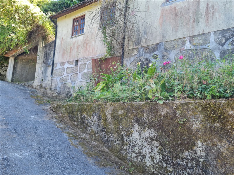 Moradia  Vieira do Minho, Parada do Bouro - 1415543 - 4