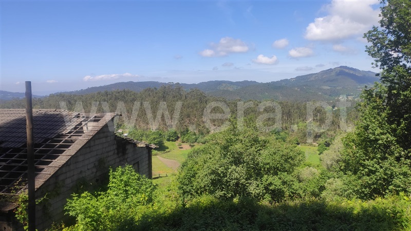 Moradia  Vieira do Minho, Rossas - 1432951 - 32