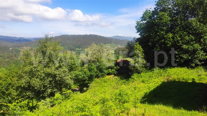 Moradia  Vieira do Minho, Rossas - 1432951 - 38