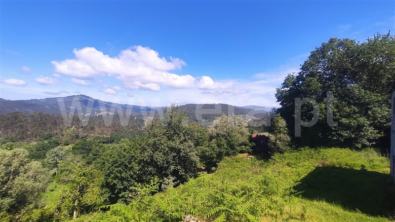 Moradia  Vieira do Minho, Rossas - 1432951 - 43