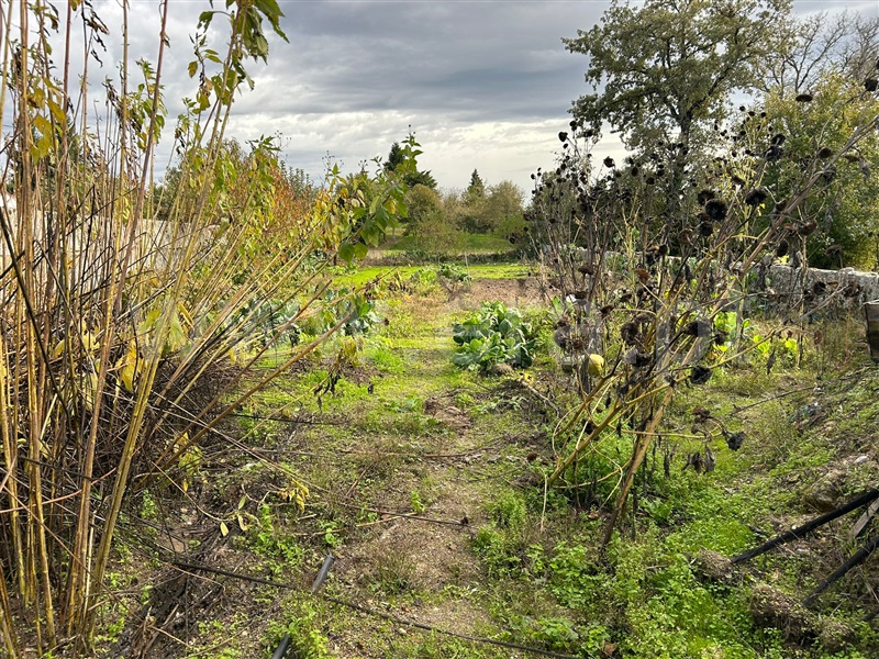 Terreno com ruina  Vila Nova de Paiva, Vila Nova de Paiva, Alhais e Fráguas - 1441405 - 3