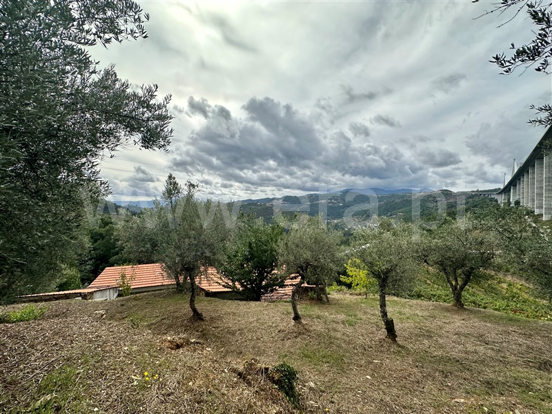 Herdade T1 Vila Real, Folhadela - 1355579 - 4