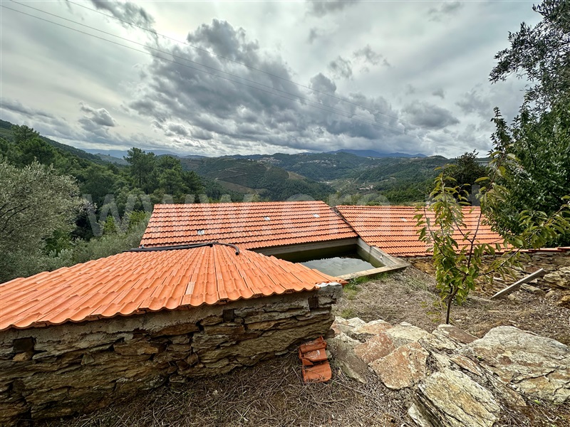 Herdade T1 Vila Real, Folhadela - 1355579 - 6