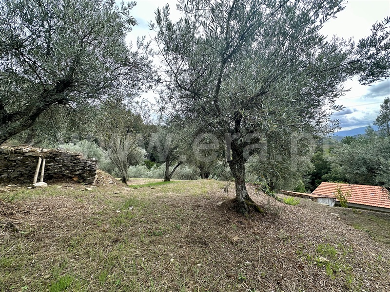 Herdade T1 Vila Real, Folhadela - 1355579 - 8