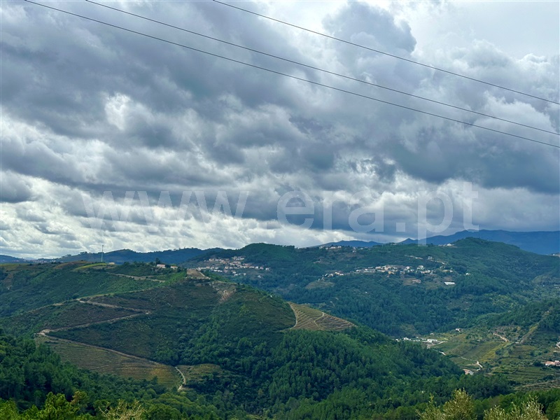 Herdade T1 Vila Real, Folhadela - 1355579 - 9