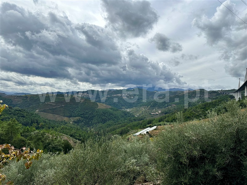 Herdade T1 Vila Real, Folhadela - 1355579 - 10