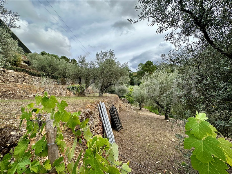 Herdade T1 Vila Real, Folhadela - 1355579 - 11
