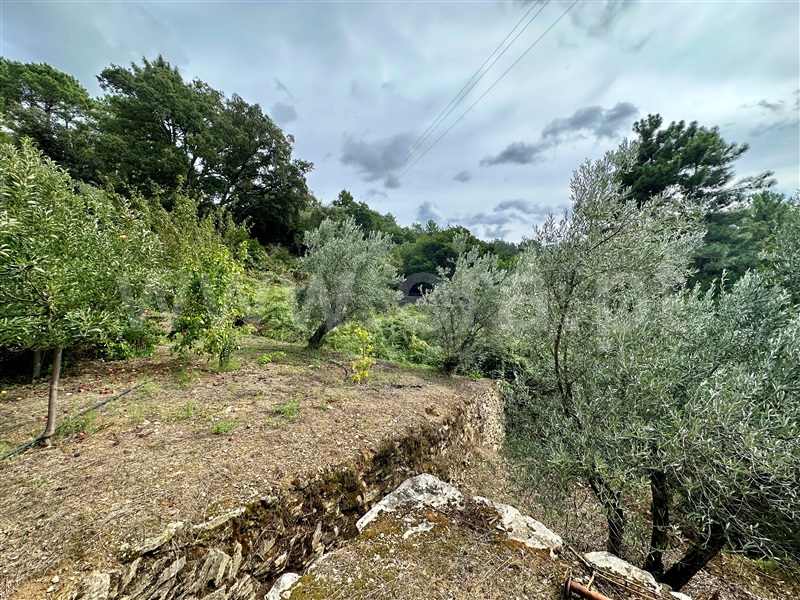 Herdade T1 Vila Real, Folhadela - 1355579 - 12