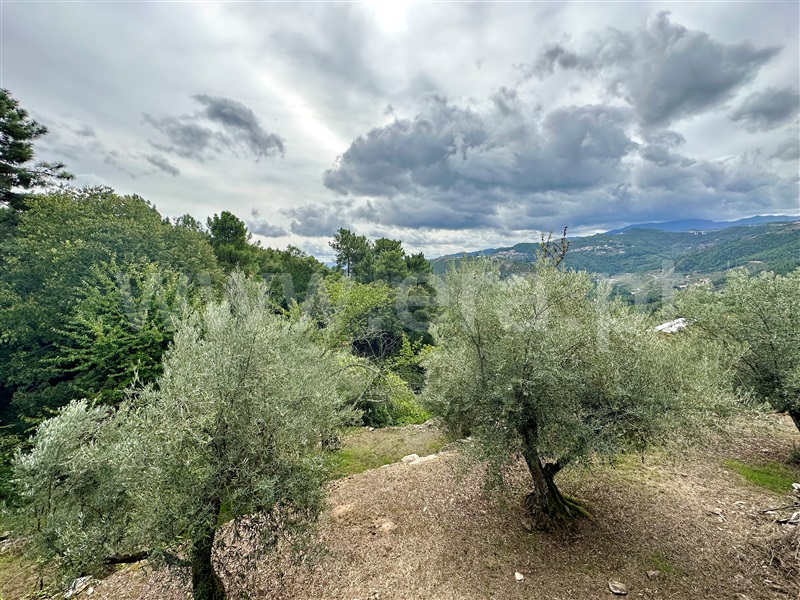 Herdade T1 Vila Real, Folhadela - 1355579 - 13