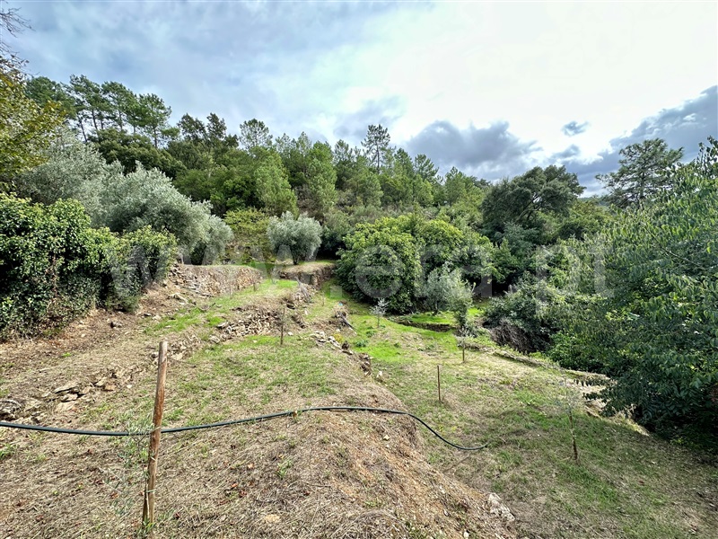 Herdade T1 Vila Real, Folhadela - 1355579 - 18