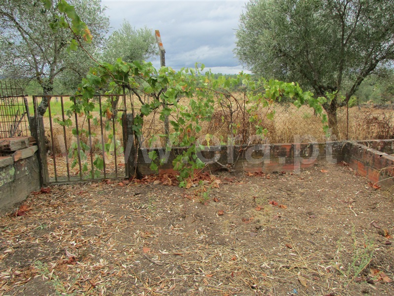 Moradia  Vila Velha de Rodão, Sarnadas de Ródão - 1121829 - 13