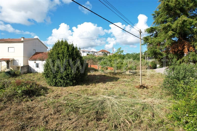 Moradia T1 Bombarral, Roliça - 1489298 - 5