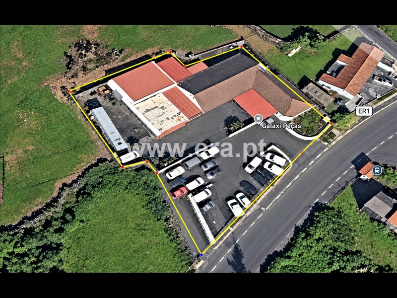 Outro Tipo T6 / Lajes do Pico, Piedade