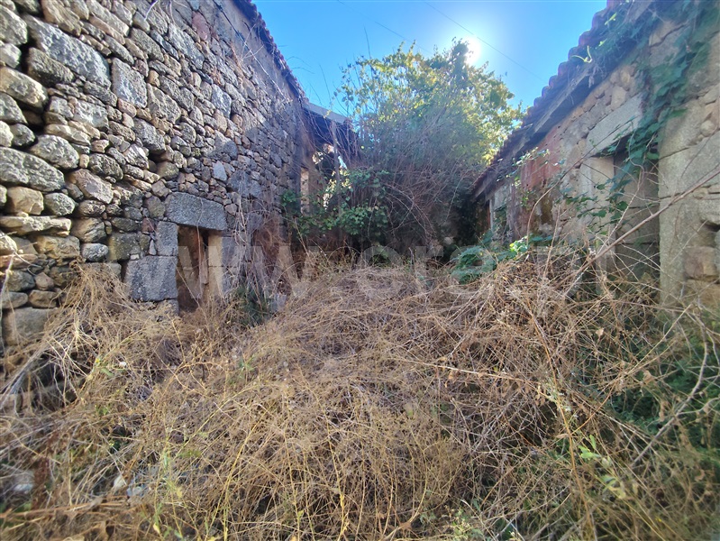 Palacete  Lamego, Britiande - 1508294 - 7