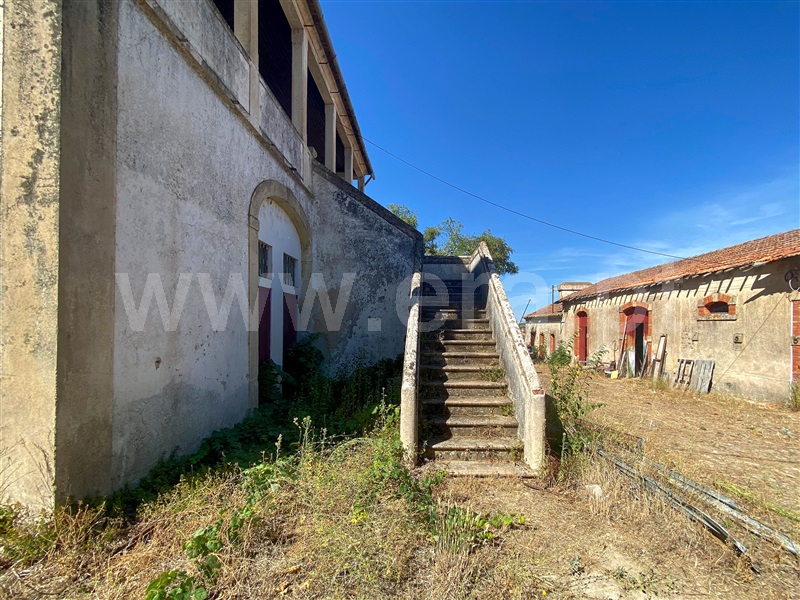Palacete T8 com Terreno Nisa, Nisa - 1428439 - 37