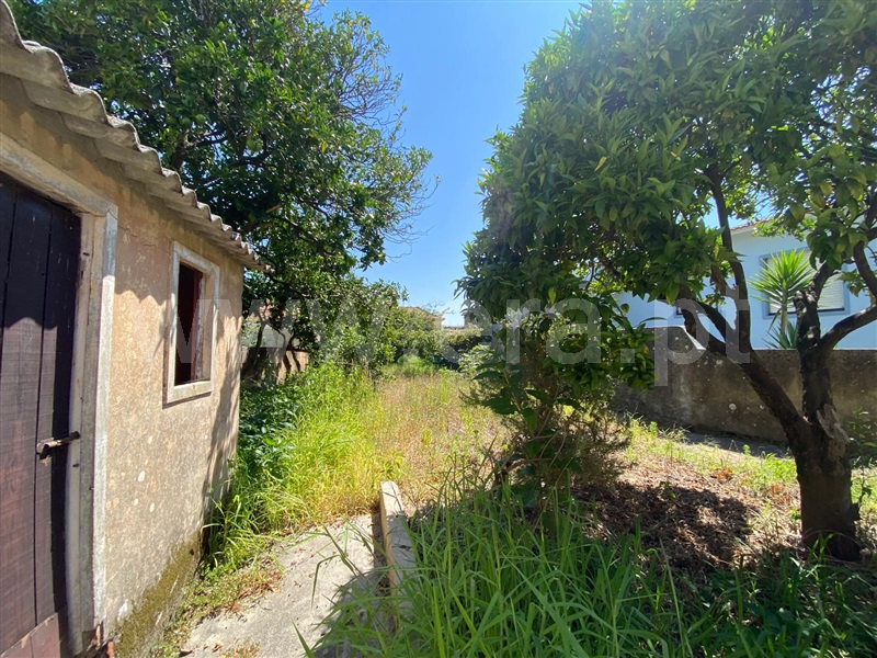 Palacete  Murtosa - 1495315 - 8