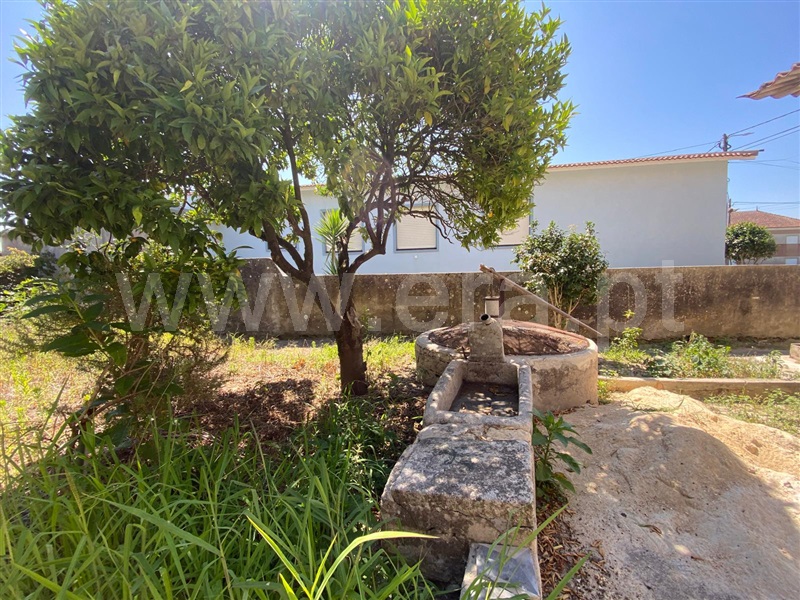 Palacete  Murtosa - 1495315 - 9