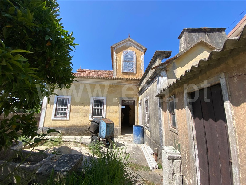 Palacete  Murtosa - 1495315 - 13