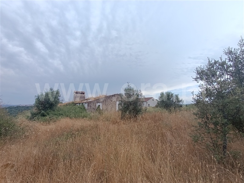Quinta  Abrantes, Mouriscas - 1490593 - 8